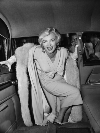 Картина ЖP031