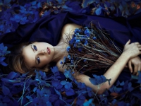 Картина ЖС031