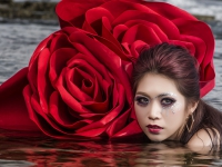 Картина ЖС045