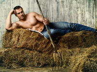 Картина МС003