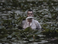 Картина МС028