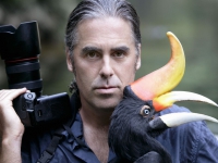 Картина МС034