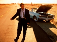 Картина МС041